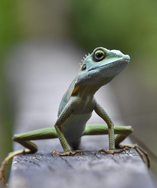 mark-stoop-JAUFHzqZPd0-unsplash